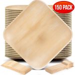Palm Leaf Plates