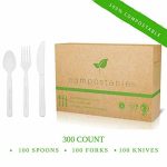 Compostable Cutlery Set