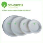 Disposable Plates 100 pcs